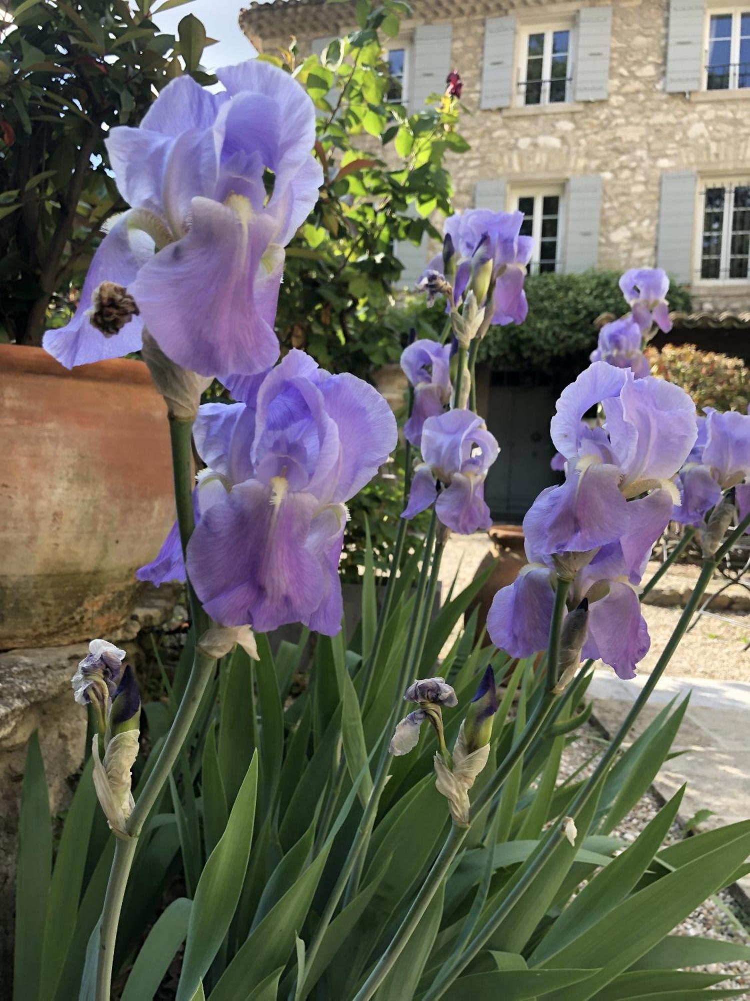 مبيت وإفطار La Figuiere Fontaine De Vaucluse المظهر الخارجي الصورة